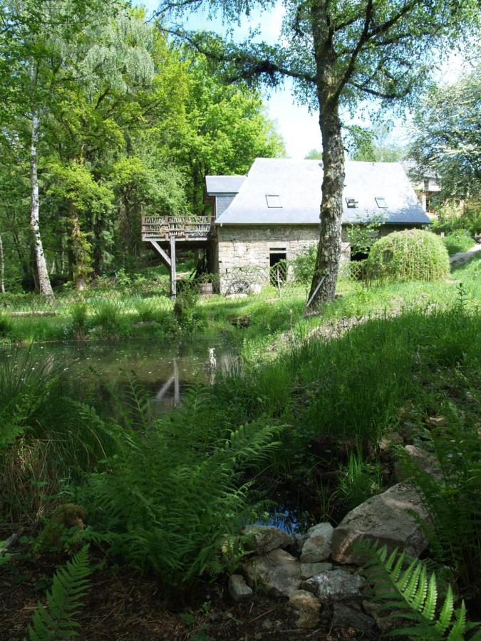 Gite Nature Le Moulin Vitrac-sur-Montane Buitenkant foto