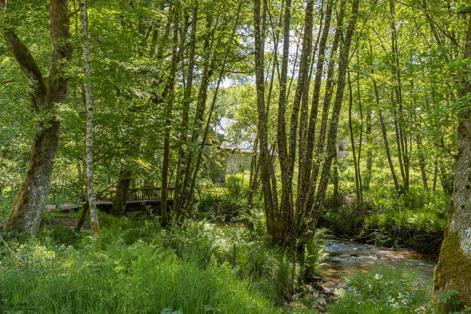 Gite Nature Le Moulin Vitrac-sur-Montane Buitenkant foto