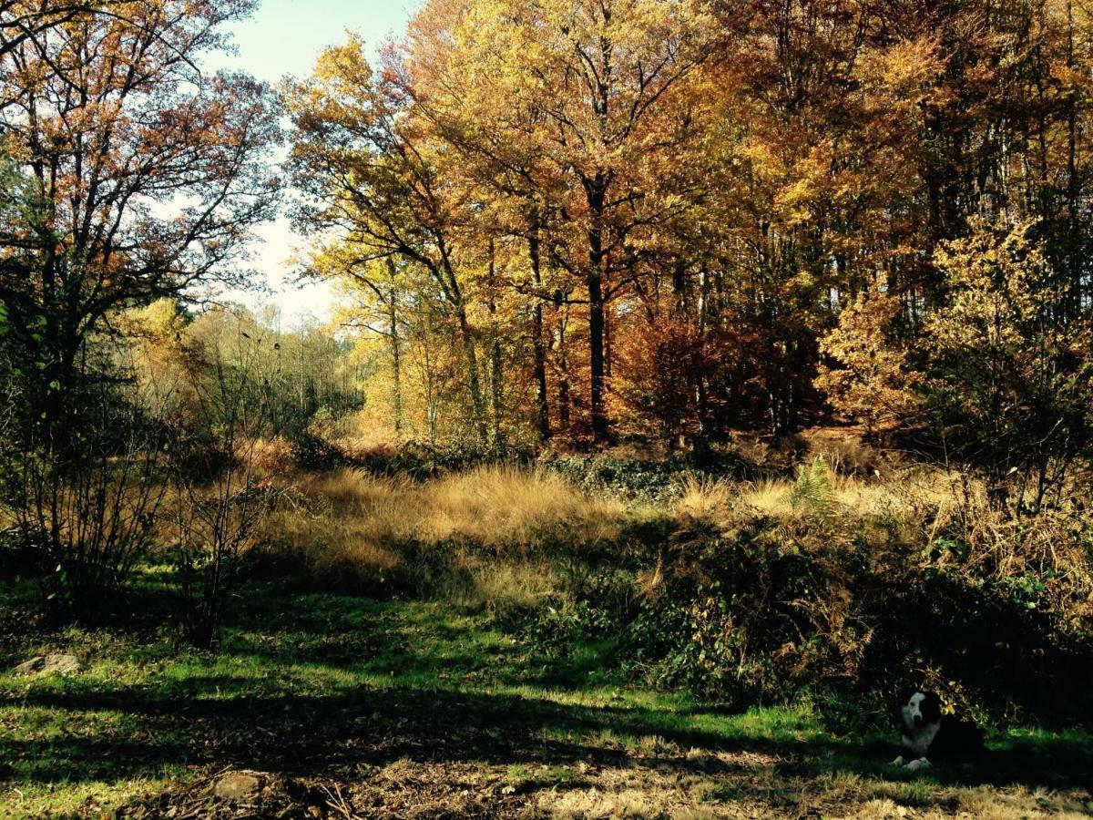 Gite Nature Le Moulin Vitrac-sur-Montane Buitenkant foto